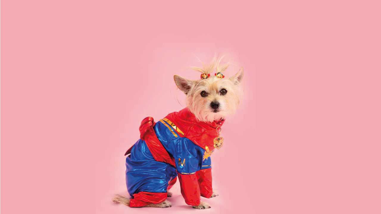 PIcky-Puppy-13