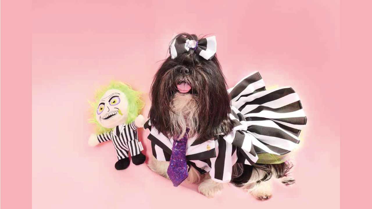 PIcky-Puppy-18