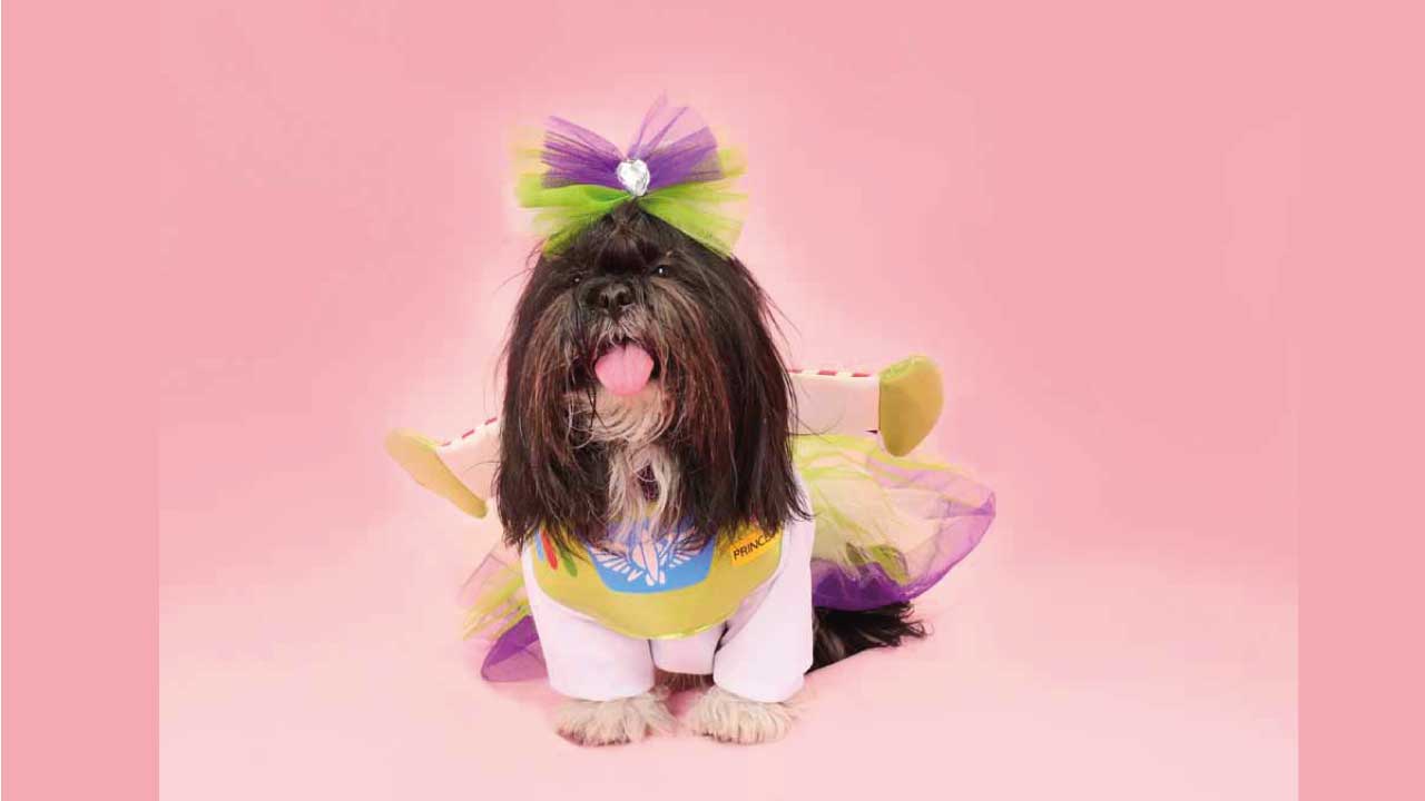 PIcky-Puppy-9